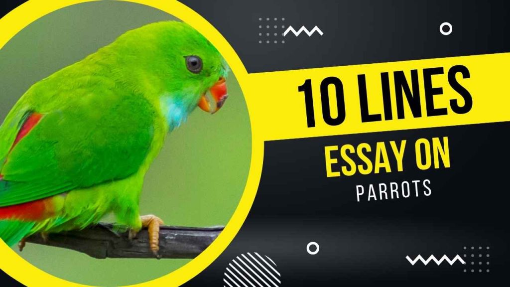 10 Lines Essay on Parrot for Kids