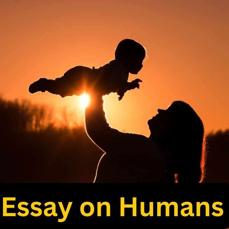 10 lines essay on humans